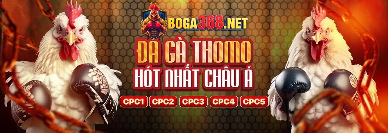 BI88 Tải Game: Đá gà trực tuyến với các trận đấu kịch tính và người chơi hăng hái